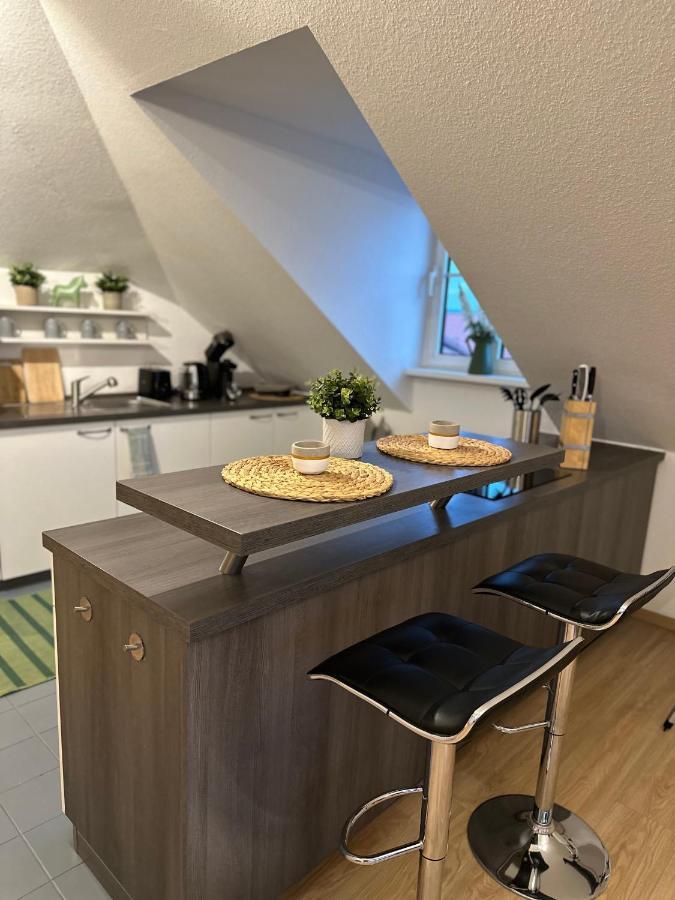 Oasis Appart - Wohnen Am Elbtal - Balkon - Netflix - Tiefgarage ドレスデン エクステリア 写真