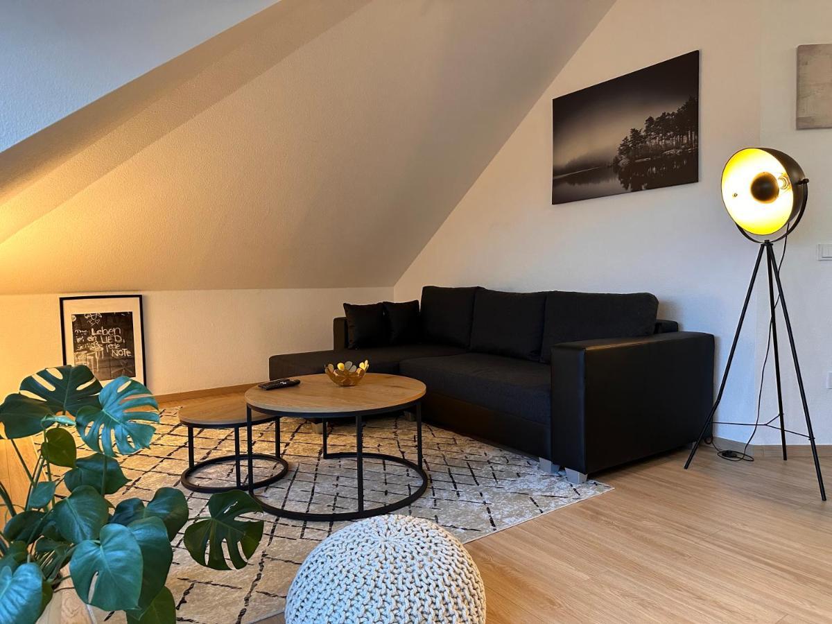 Oasis Appart - Wohnen Am Elbtal - Balkon - Netflix - Tiefgarage ドレスデン エクステリア 写真