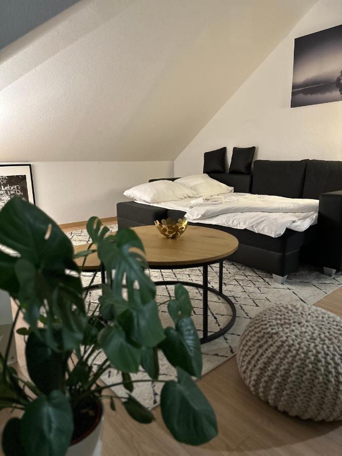 Oasis Appart - Wohnen Am Elbtal - Balkon - Netflix - Tiefgarage ドレスデン エクステリア 写真